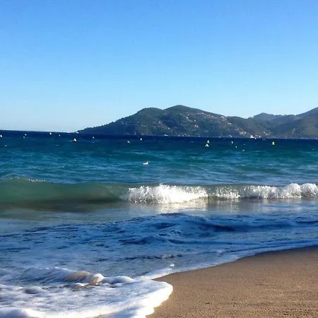 Luxury In Near Palais Des Festivals - Parking Possible